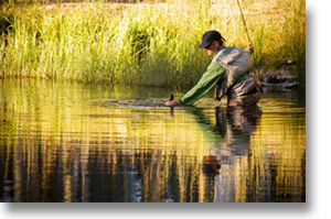 You will learn about the special equipment involved, about trout, their habits, the foods they eat and the flies they prefer