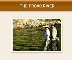 THE PROVO RIVER