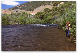 Spectacularly scenic, this hallowed section of river winds and bends its way through breathtaking Provo Canyon