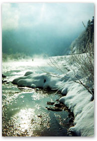 Our waters are nothing less than boastful in a display of wonderful variety