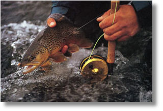 This combination of fly-fishing, dining and accommodation is truly spectacular and unforgettable.