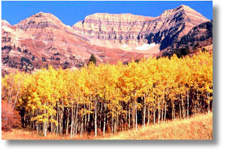 Provo River Outfitters founded fly-fishing at Sundance Resort in 1986