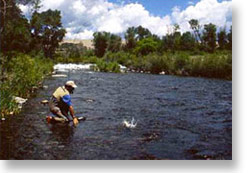 The Hopper sinks firm and the water literally explodes